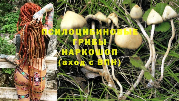 круглые Надым
