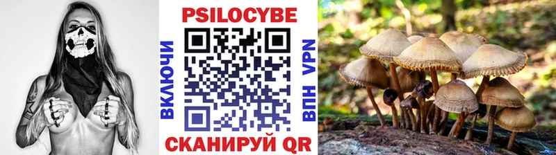 Псилоцибиновые грибы Magic Shrooms  Шенкурск 